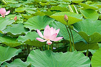 郭炜炜表示《解限机》游戏发布只是开始 未来将以不同形式拓展